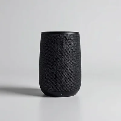 Sonos Era 300 Draadloze Speaker